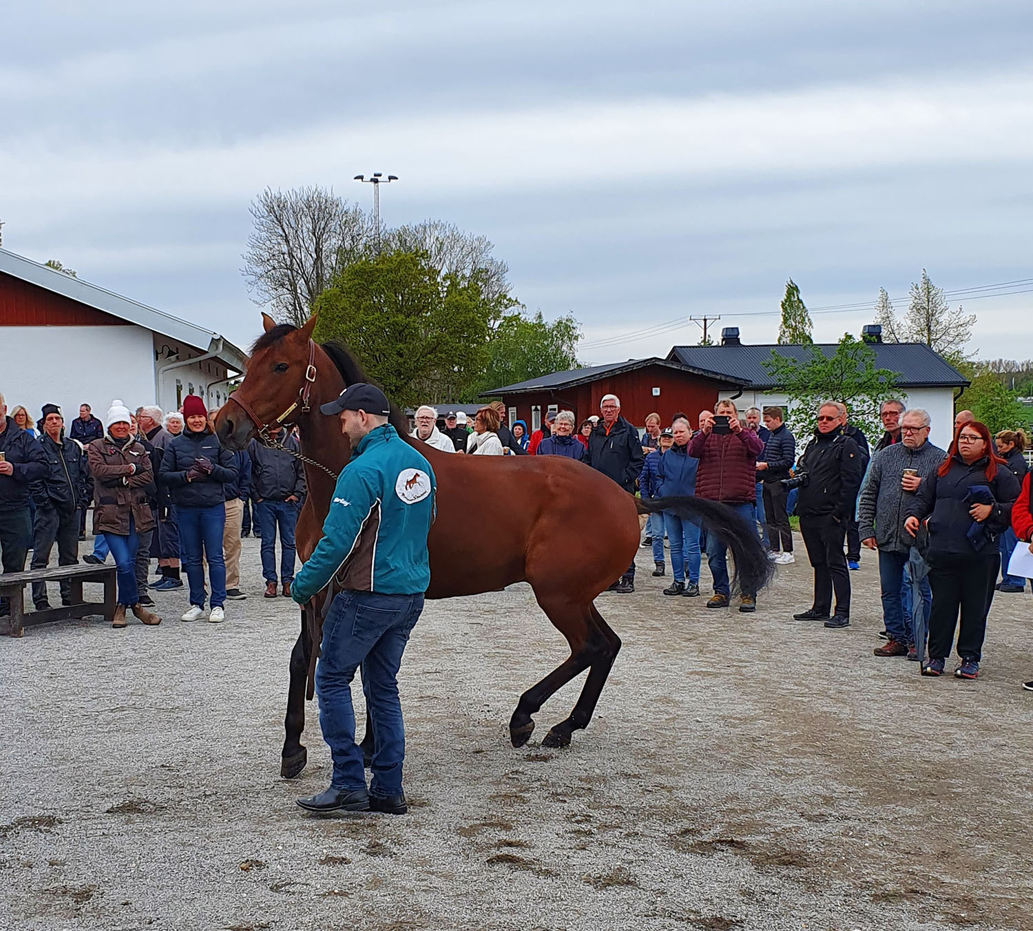 Daylight blev riktigt uppspelt av att se så många besökare. Foto; A.Lindblom